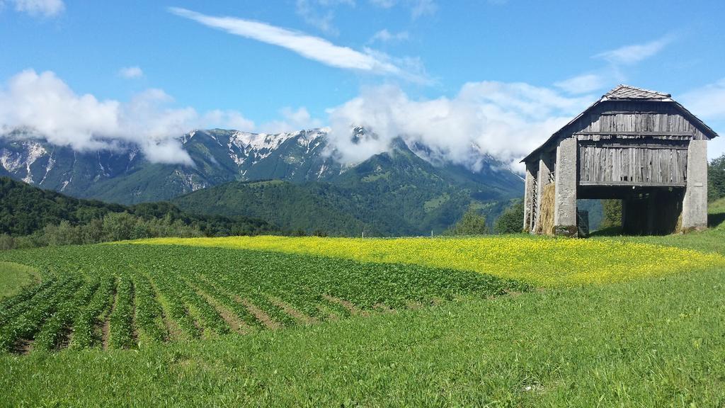 Apartmaji Pr-Gujlu Sela Nad Podmelcem 5220 Tolmin Podmelec Εξωτερικό φωτογραφία